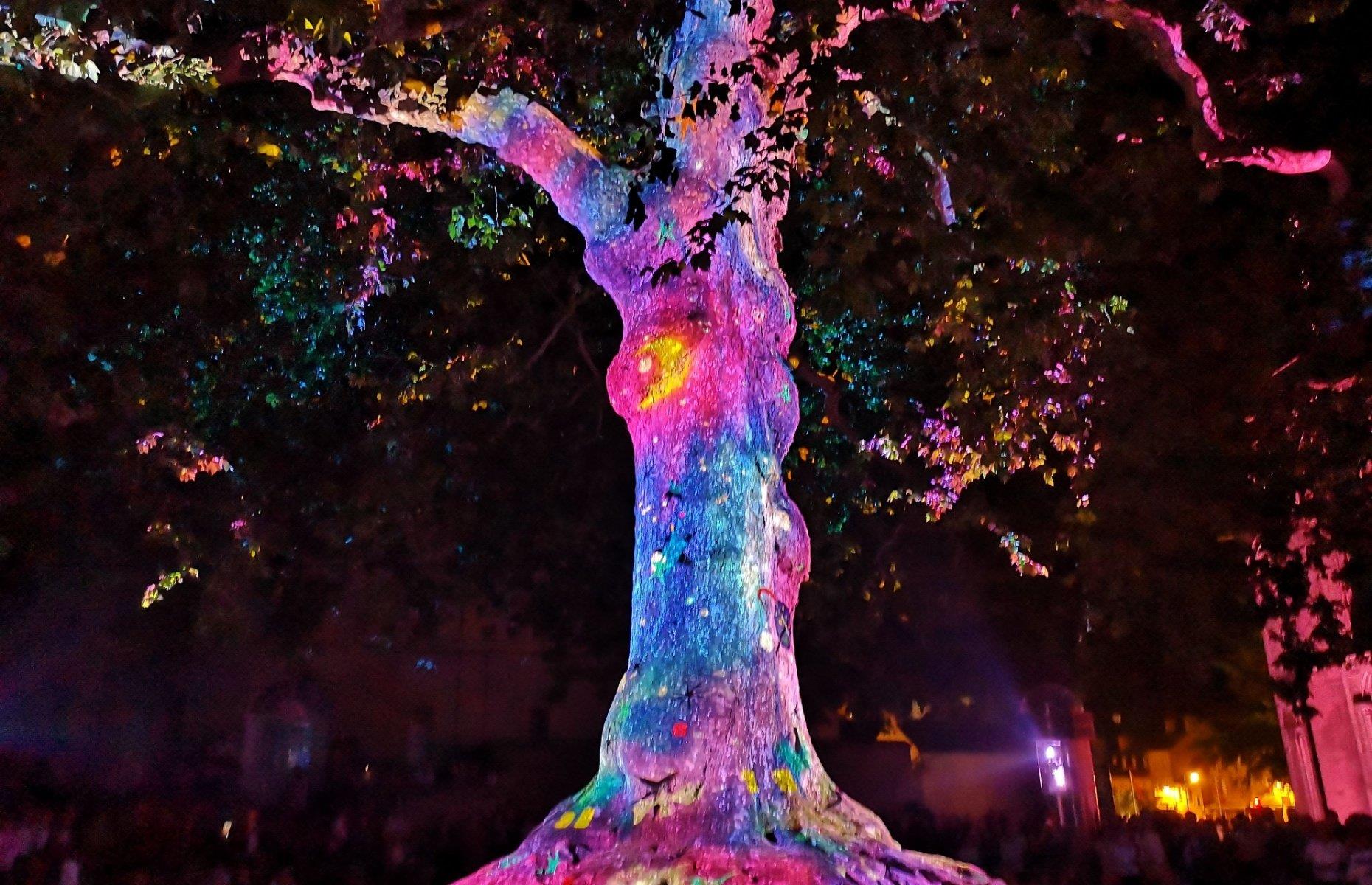 25. Liberty Tree light and sound show, Bayeux